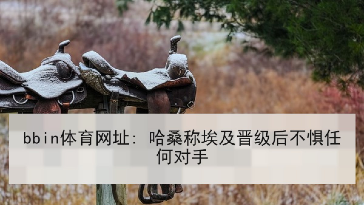 bbin体育网址: 哈桑称埃及晋级后不惧任何对手 bbin体育网址: 哈桑称埃及晋级后不惧任何对手