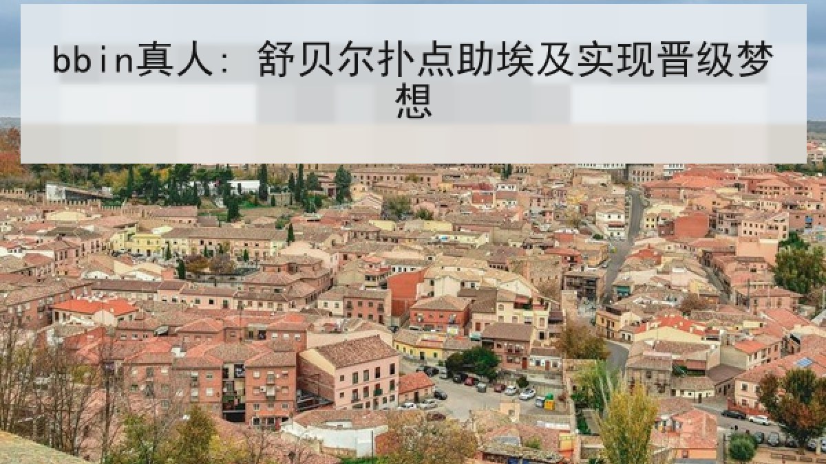 bbin真人: 舒贝尔扑点助埃及实现晋级梦想