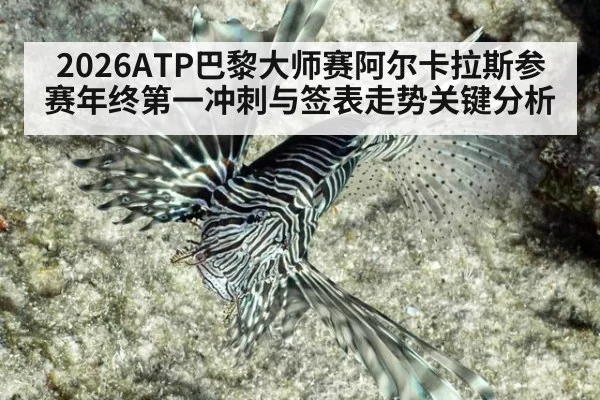 2026ATP巴黎大师赛阿尔卡拉斯参赛年终第一冲刺与签表走势关键分析